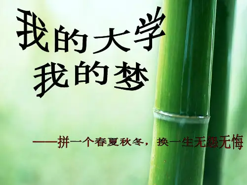我的大学我的梦主题班会