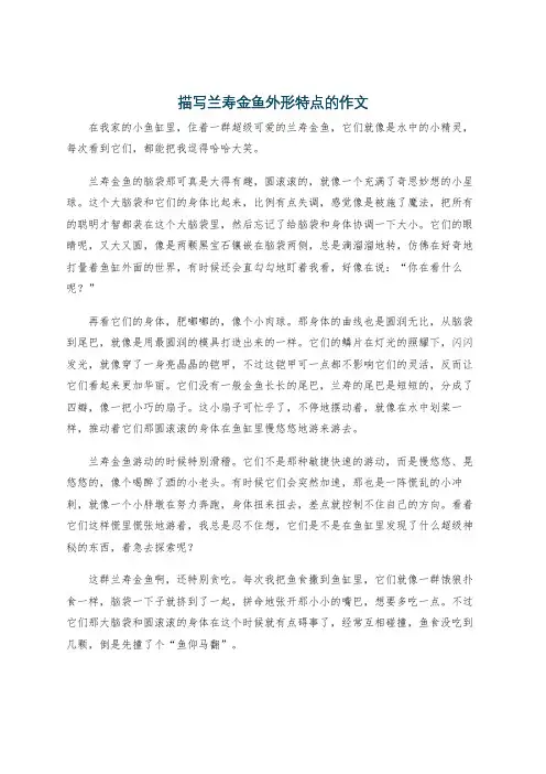 描写兰寿金鱼外形特点的作文