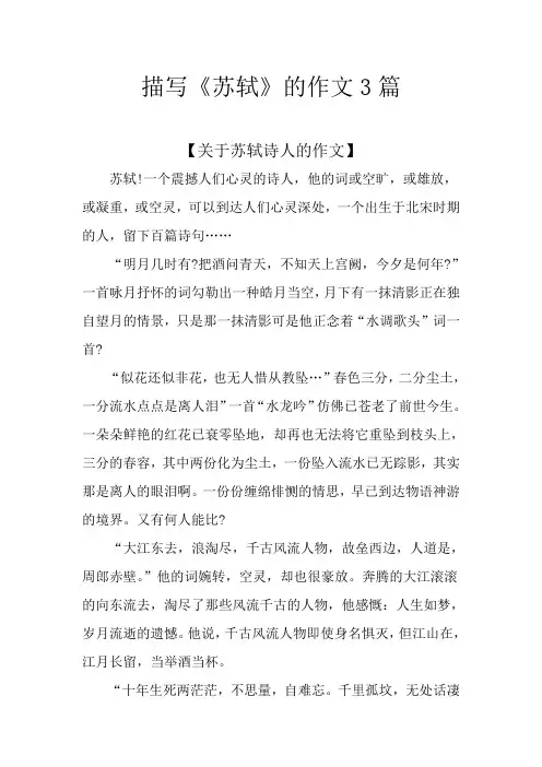 描写《苏轼》的作文3篇