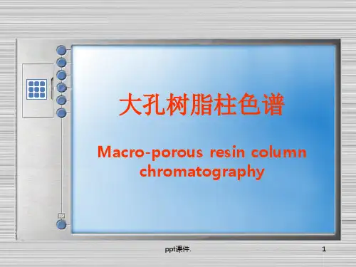 大孔树脂柱色谱ppt课件