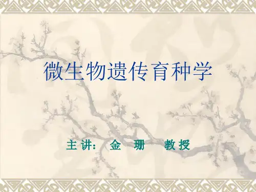 绪论-1