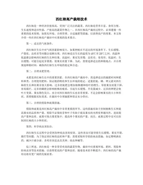 西红柿高产栽培技术
