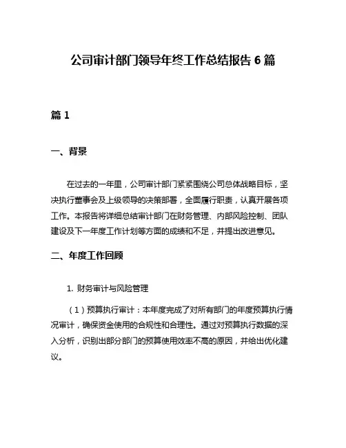 公司审计部门领导年终工作总结报告6篇