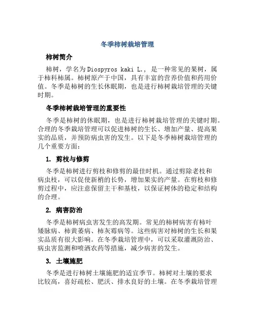 冬季柿树栽培管理