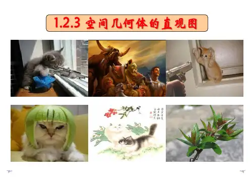 高中数学必修2课件：1.2.3 空间几何体的直观图