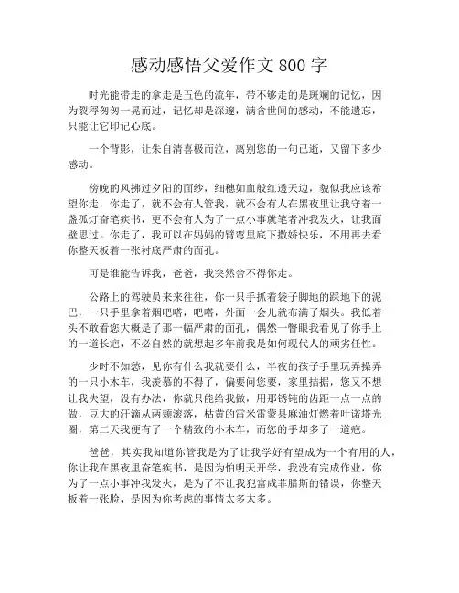 感动感悟父爱作文800字