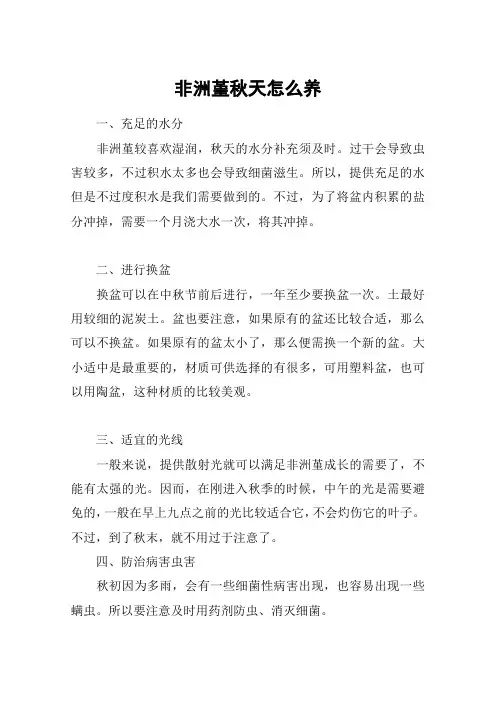 非洲堇秋天怎么养