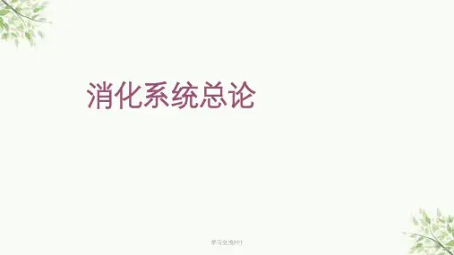 消化系统总论讲课 ppt课件