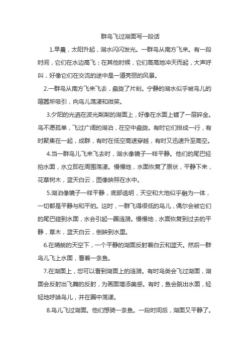群鸟飞过湖面写一段话