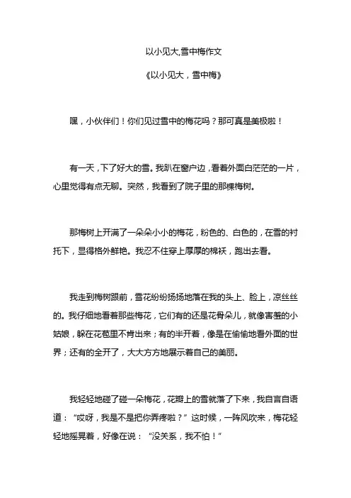以小见大,雪中梅作文