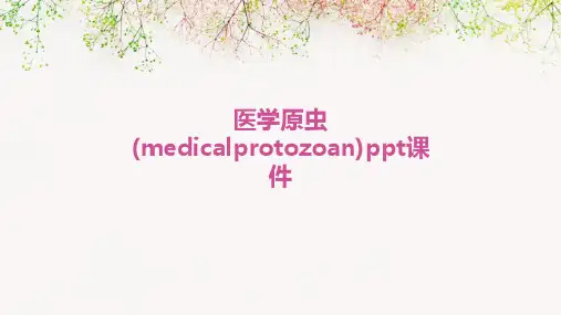 医学原虫(Medicalprotozoon)PPT课件