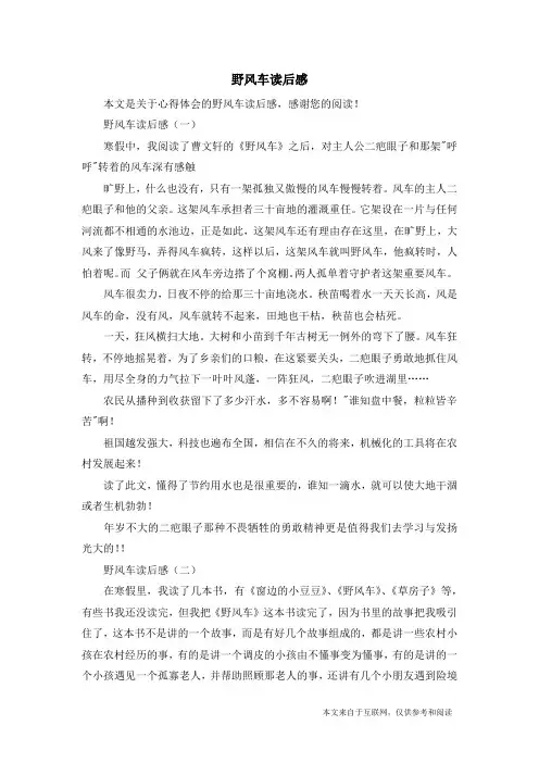 野风车读后感_心得体会