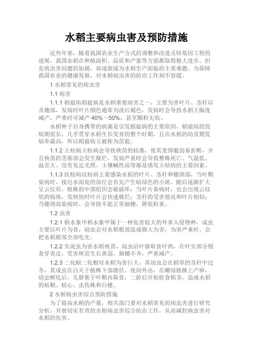 最新 水稻主要病虫害及预防措施-精品