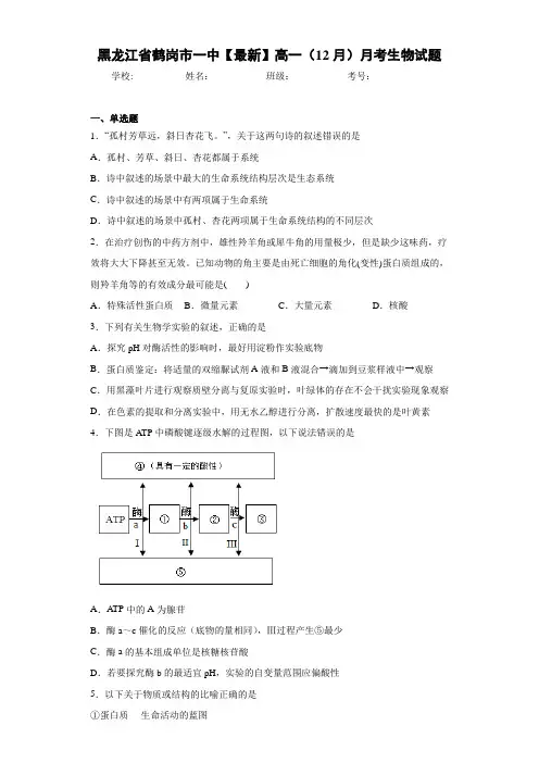 黑龙江省鹤岗市一中2020-2021学年高一(12月)月考生物试题
