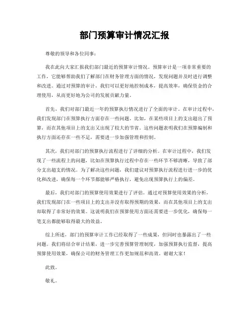 部门预算审计情况汇报