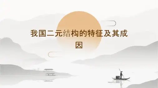 我国二元结构的特征及其成因课件