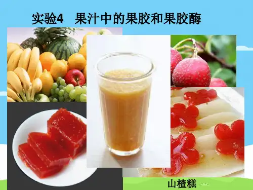 浙科版高中生物选修一 第二部分 实验4 果汁中的果胶和果胶酶(共12张PPT)优秀课件