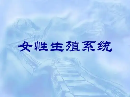 女性生殖系统