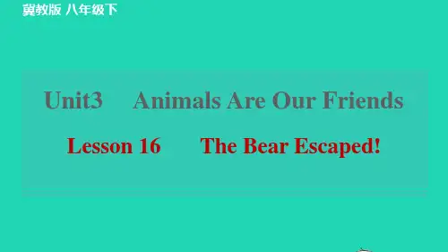 八年级英语下册Unit3Lesson16TheBearEscaped习题课件新版冀教版