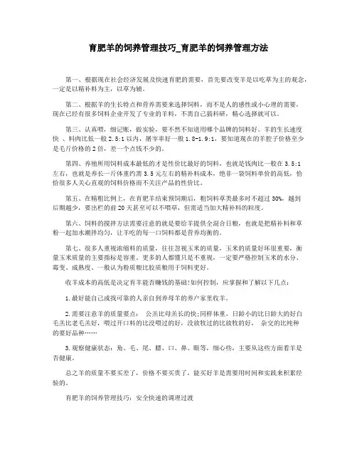 育肥羊的饲养管理技巧_育肥羊的饲养管理方法