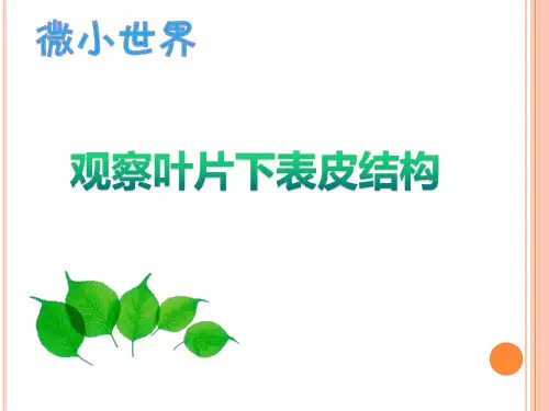 科学课件《用显微镜观察身边的生命世界(二)》精品PPT课件1