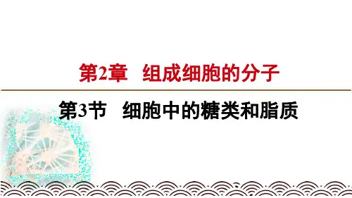 人教版高中生物必修一课件：2.3细胞中的糖类和脂质(新教材2019)(共17张PPT)