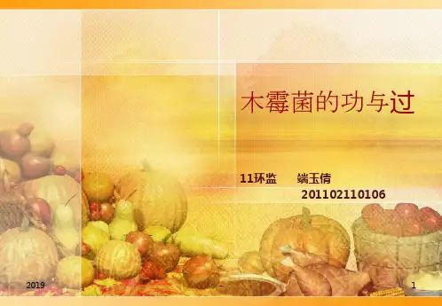 木霉菌的功过ppt课件