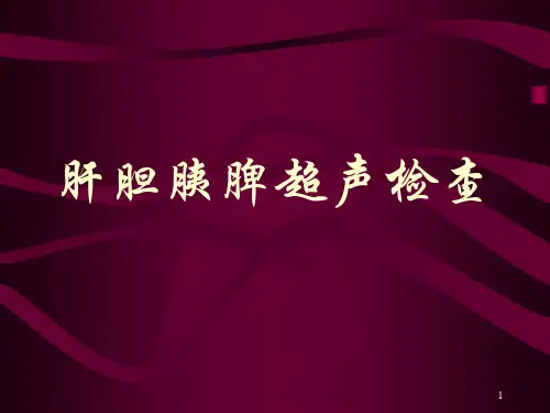 肝胆脾胰超声精品PPT课件