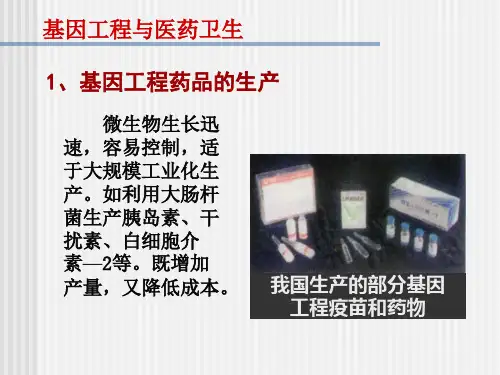 基因工程的成果与发展前景