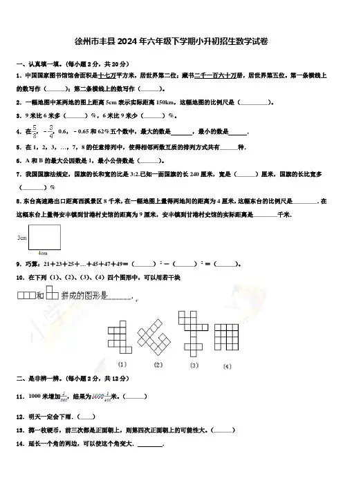 徐州市丰县2024年六年级下学期小升初招生数学试卷含解析