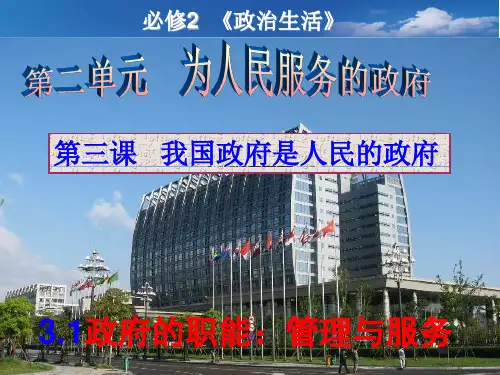 届高三第一轮复习政治生活第三课我国政府是人民的政府1PPT课件
