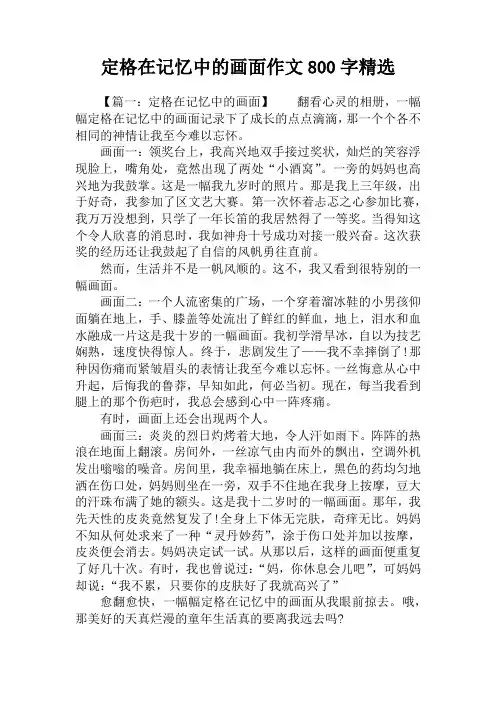 定格在记忆中的画面作文800字精选