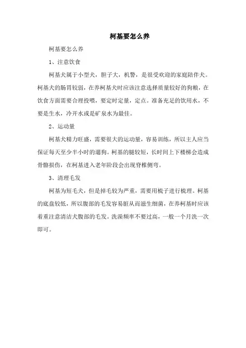 柯基要怎么养