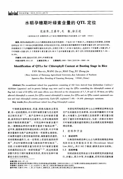 水稻孕穗期叶绿素含量的QTL定位