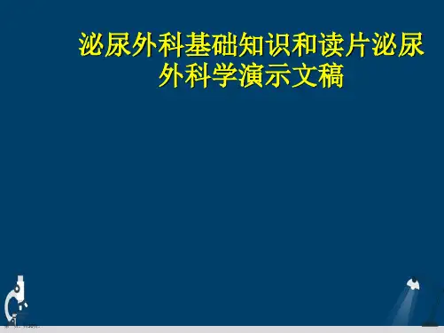 泌尿外科基础知识和读片泌尿外科学演示文稿