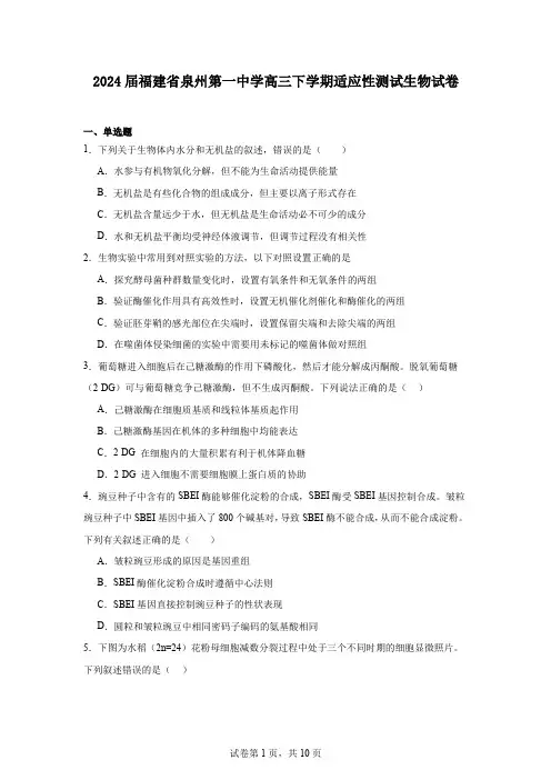 2024届福建省泉州第一中学高三下学期适应性测试生物试卷