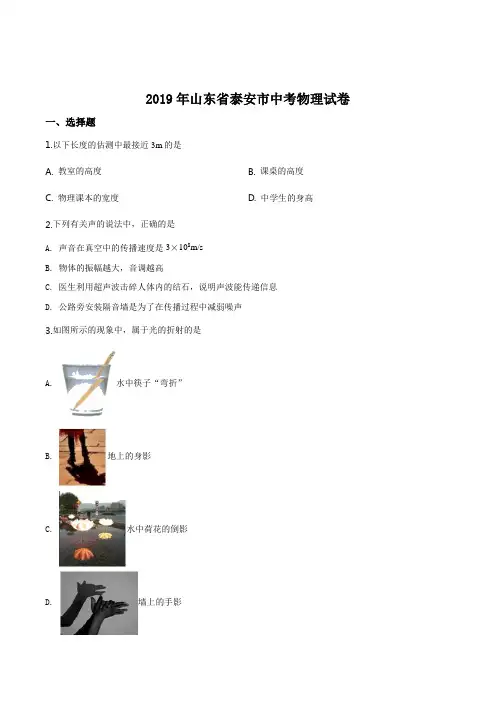 【精品】2019年山东省泰安市中考物理试题(原卷版)