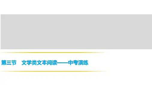 第三节 文学类文本阅读—中考演练