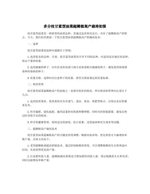 多分枝甘蓝型油菜超稀植高产栽培初报