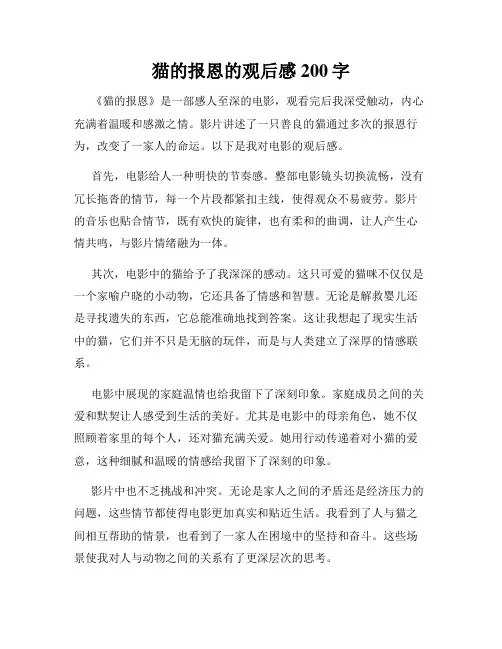 猫的报恩的观后感200字