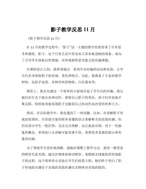 影子教学反思11月