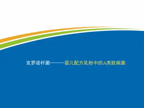 克罗诺杆菌———婴儿配方乳粉中的A类致病菌