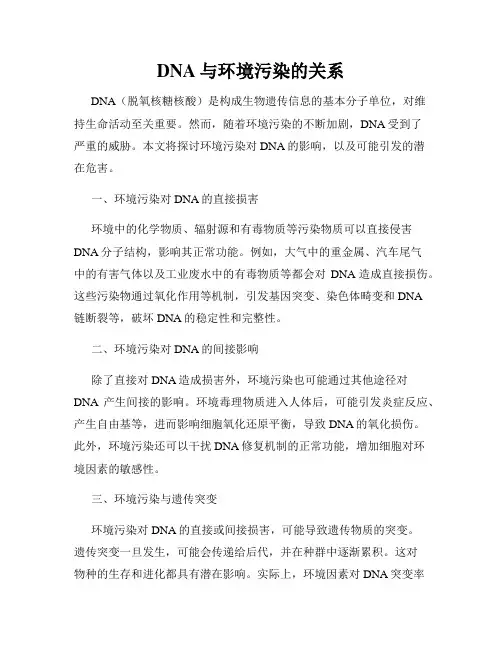 DNA与环境污染的关系