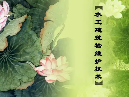 水工建筑物维护技术