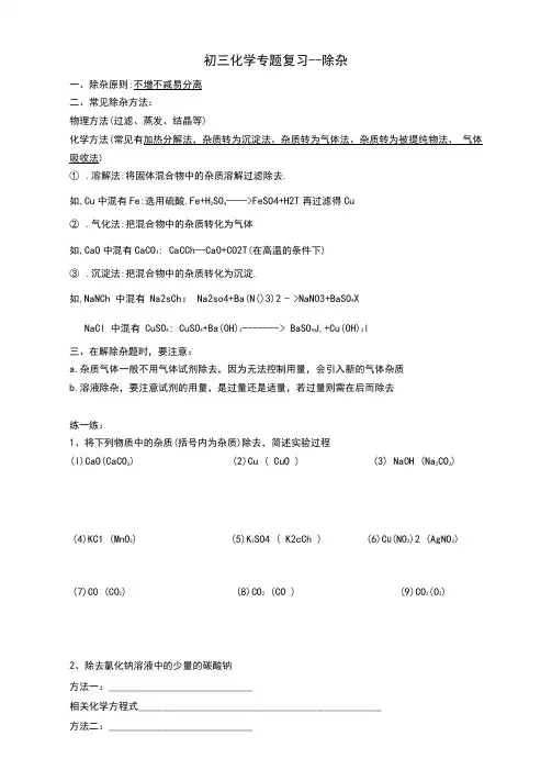 上海市2020-2021学年中考化学复习除杂专题