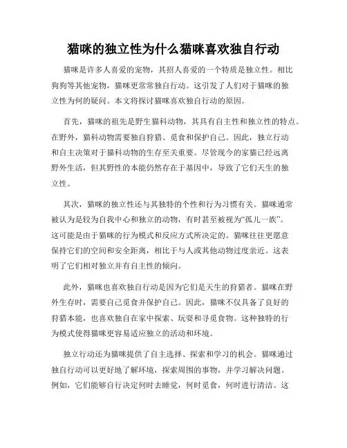 猫咪的独立性为什么猫咪喜欢独自行动