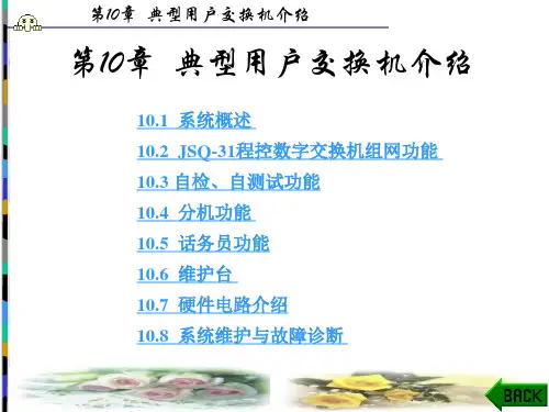 程控数字交换技术第10章PPT课件