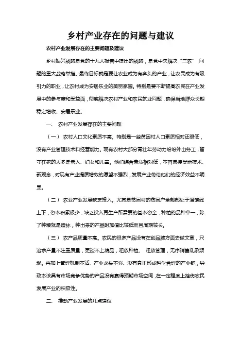 乡村产业存在的问题与建议