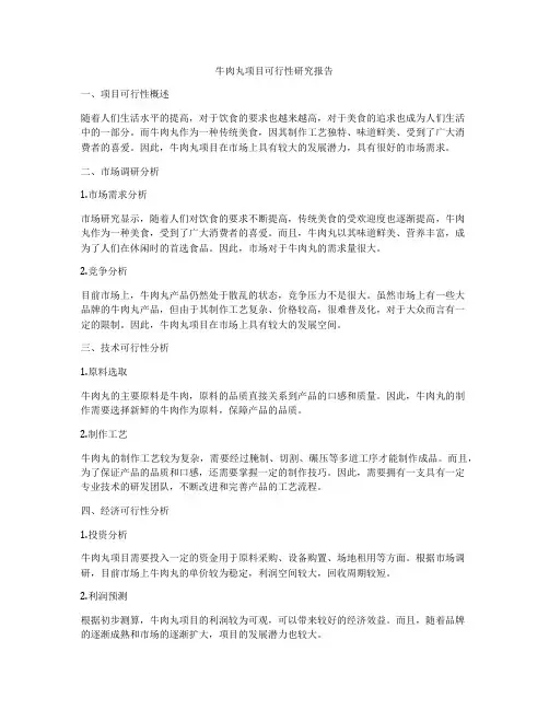 牛肉丸项目可行性研究报告