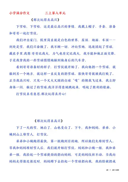 三年级作文《那次玩得真高兴》打雪仗